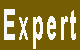 Expert Expert